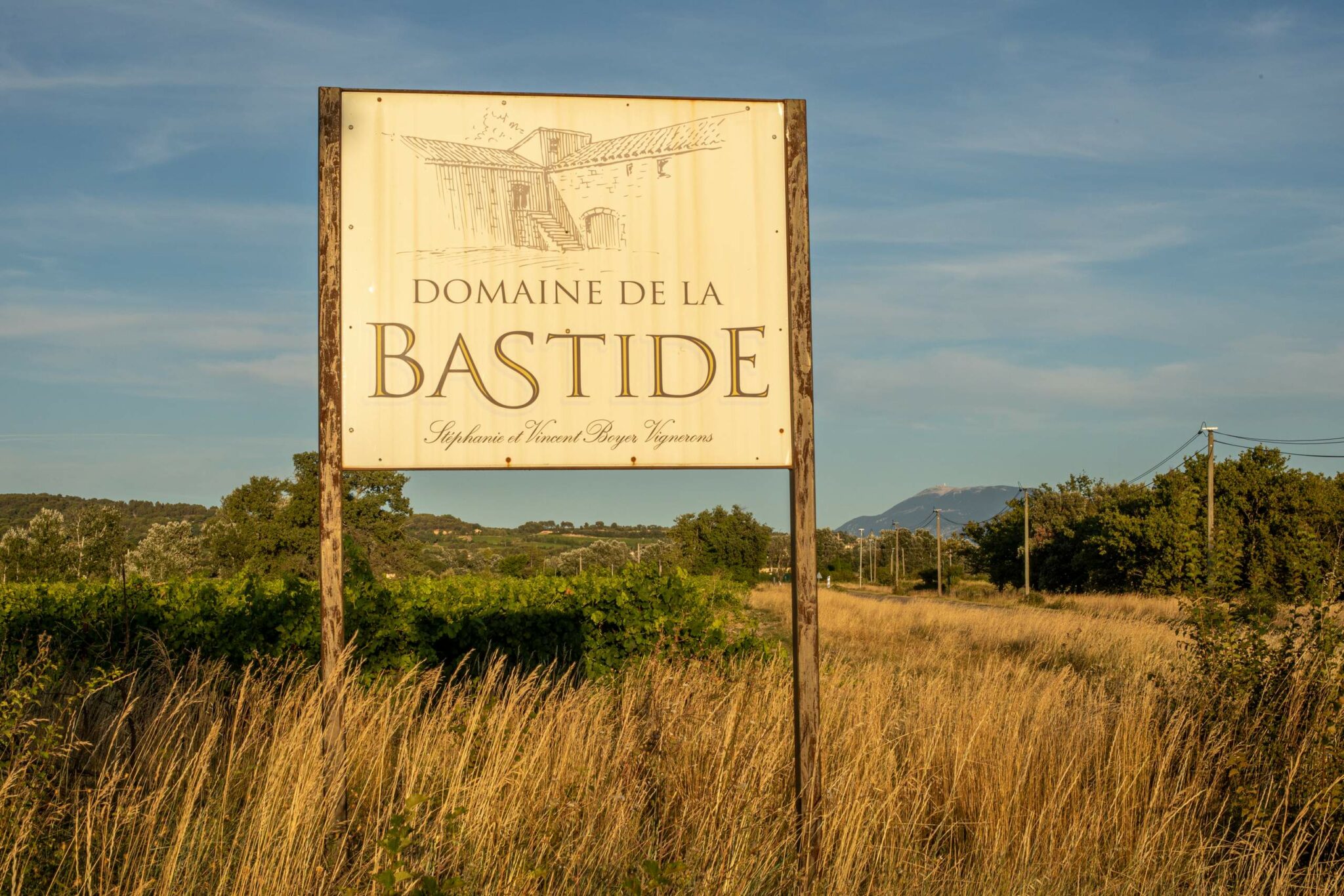 Domaine de la Bastide - Vincent BOYER | Vigneron